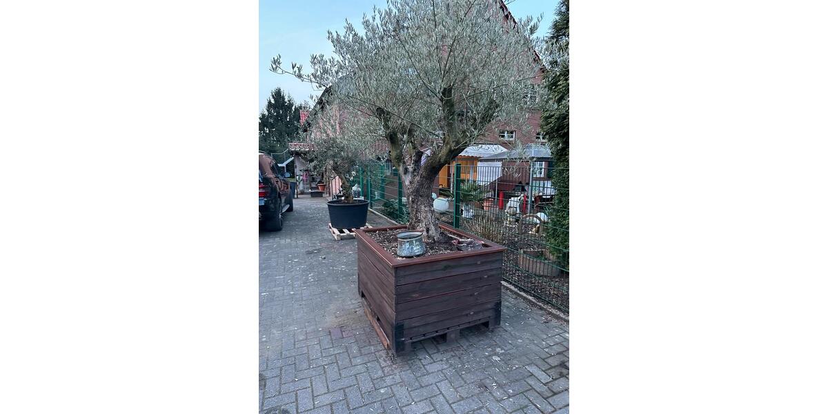 Mehrfamilienhaus, Wohnhaus Essen Stadtbezirk VII - 20 Zimmer, 570 m&sup2;, 1.500.000&euro; | Angebot:25612813