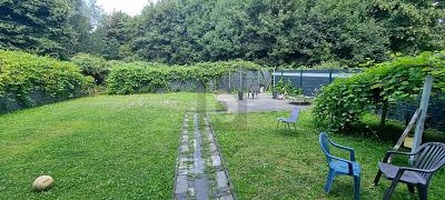 VOLL VERMIETETE KAPITALANLAGE - Mehrfamilienhaus, Wohnhaus Gelsenkirchen Gelsenkirchen-Mitte | Angebot:25426752