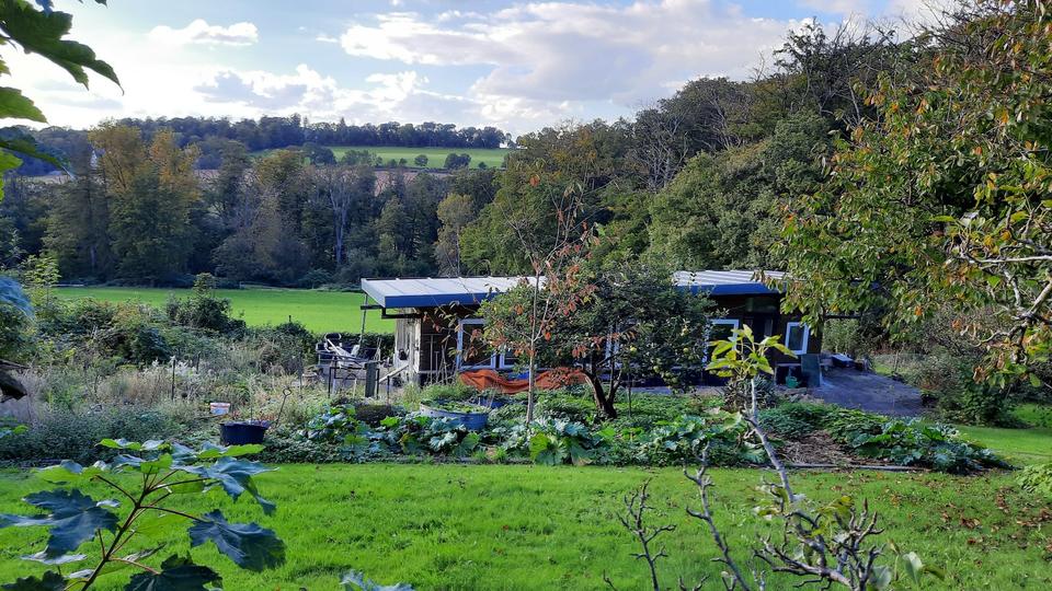 Essener Süden 1-2 Fam. Alleinlage für Naturliebhaber 7 zimmer