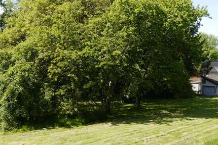 Grundstück zu verkaufen in Schwerte 220.000 € 833 m² zimmer