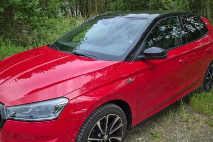 Skoda Fabia 38.800 km 18.790 &euro; Dortmund 44135