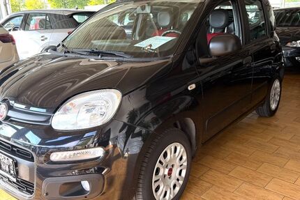 Fiat Panda 60.800 km 7.299 € Gladbeck 45966