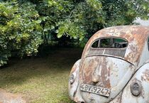 VW Beetle