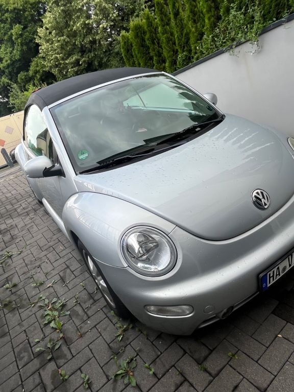 Beetle