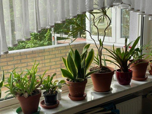 Etagenwohnung Schwerte - 2 Zimmer, 74 m&sup2;, 179.900&euro; | Angebot:27078462