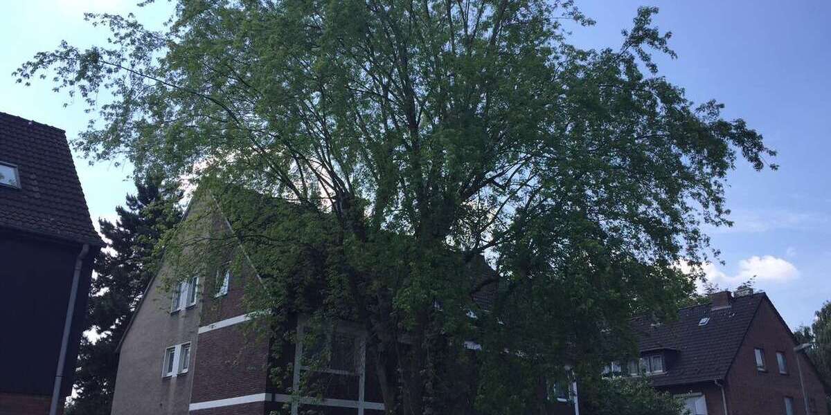 Wohnung zum Mieten in Herne 250 € 25 m² 1 zimmer