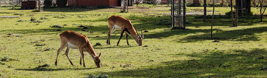 Freizeitpark Ketteler Hof Erlebnisbauernhof Haltern am See