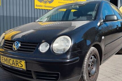 VW Polo