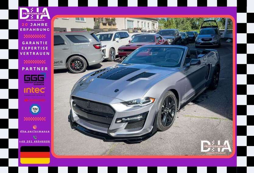 Mustang