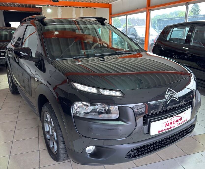 C4 Cactus