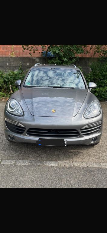 Cayenne