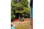 Einfamilienhaus Olfen - 6 Zimmer, 90 m&sup2;, 120.000&euro; | Angebot:27238589