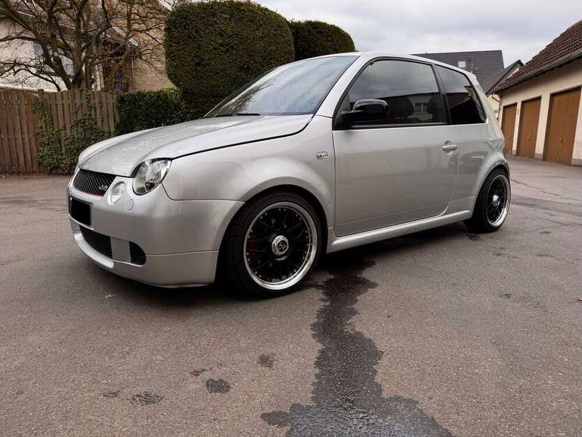 Lupo