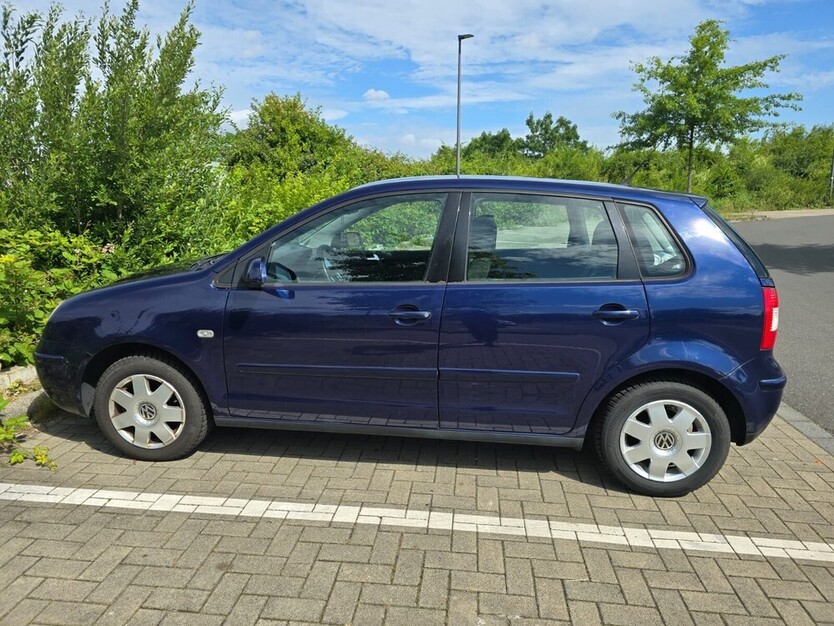 Polo