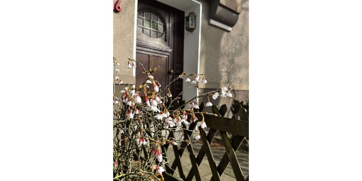 Etagenwohnung Gelsenkirchen Gelsenkirchen-Mitte - 2 Zimmer, 66 m&sup2;, 85.000&euro; | Angebot:27408438
