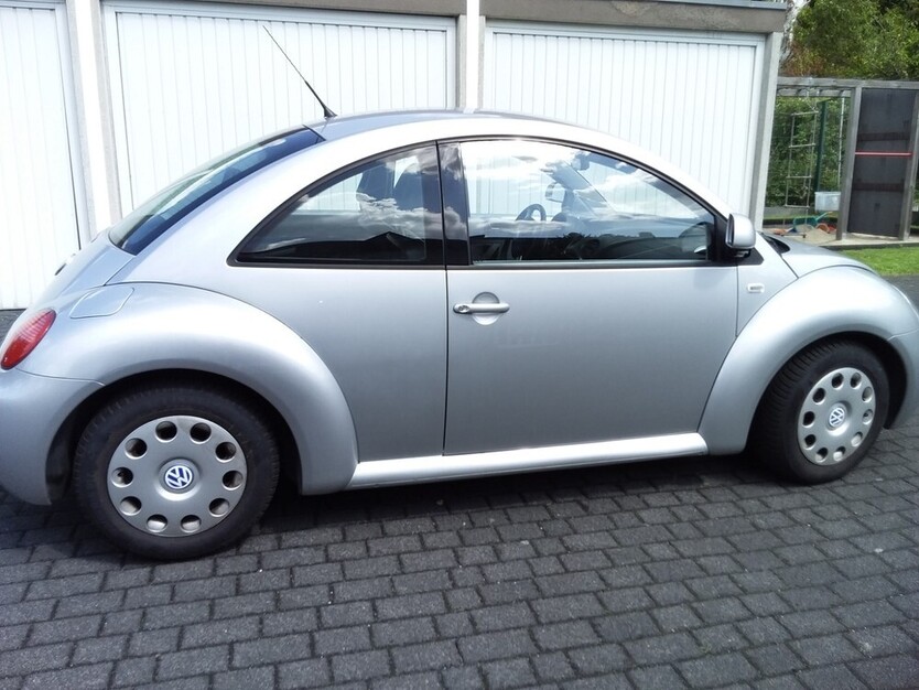 Beetle