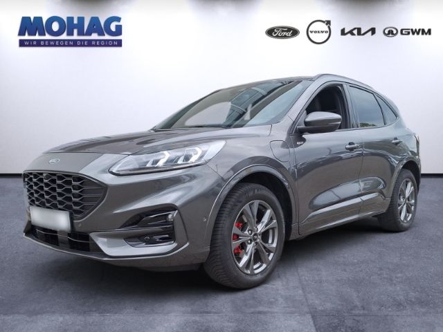 Kuga