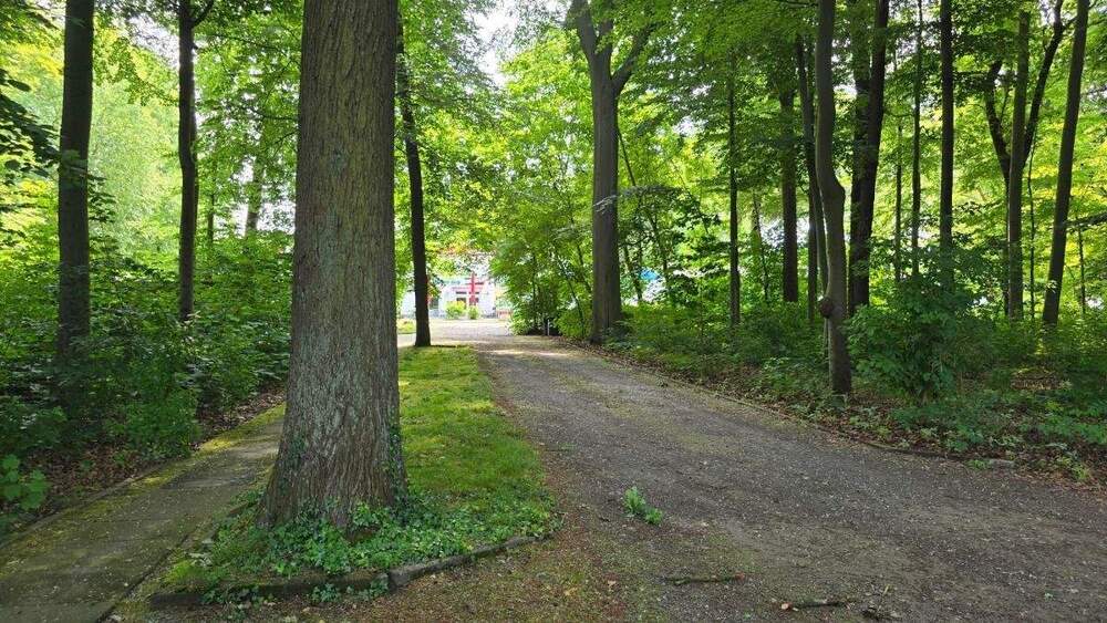 *** Im Dornröschenschlaf! *** geräumig und familienfreundlich *** Terrassenwohnung am Wald *** 5 zimmer