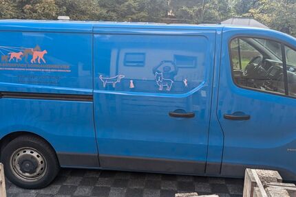 Opel Vivaro 162.000 km 7.500 &euro; Marl 45772
