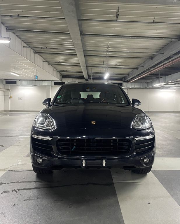 Cayenne