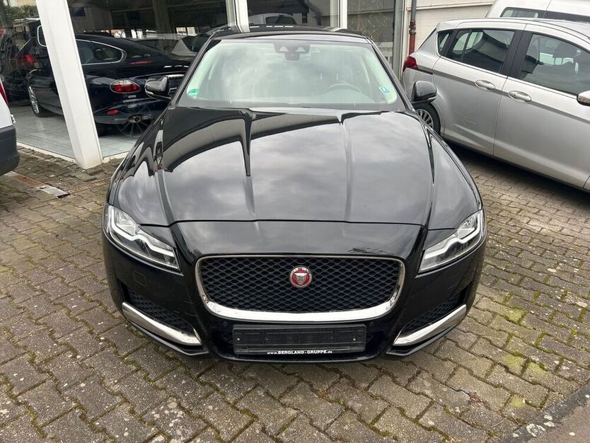 XF