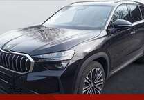 Gebrauchtwagen Skoda Kodiaq