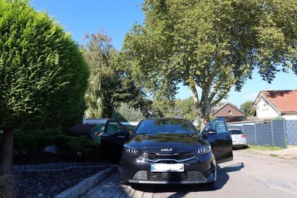 Kia ceed / Ceed 61.000 km 19.900 &euro; Essen Kray 45309