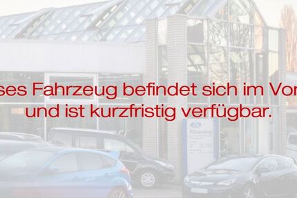 Renault Kangoo 134.550 km 12.975 &euro; Lünen 44532