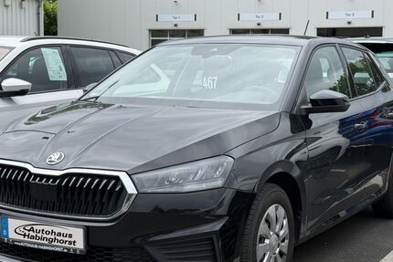 Skoda Fabia 38.325 km 12.950 &euro; Castrop-Rauxel 44579
