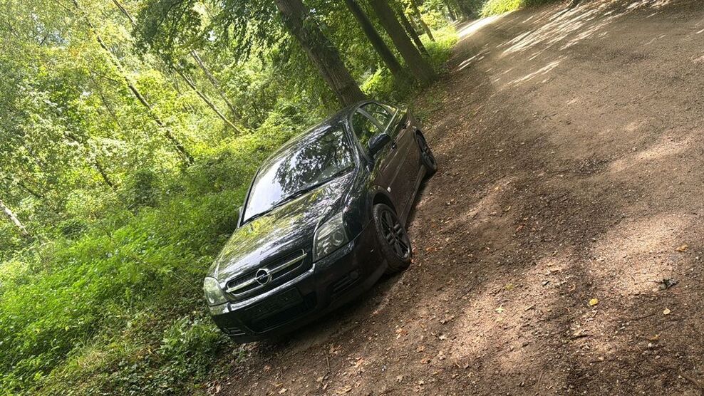 Opel Vectra 225.425 km 800 € Duisburg 47051