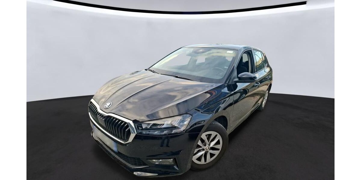 Skoda Fabia 60.920 km 14.829 &euro; Hagen 58091