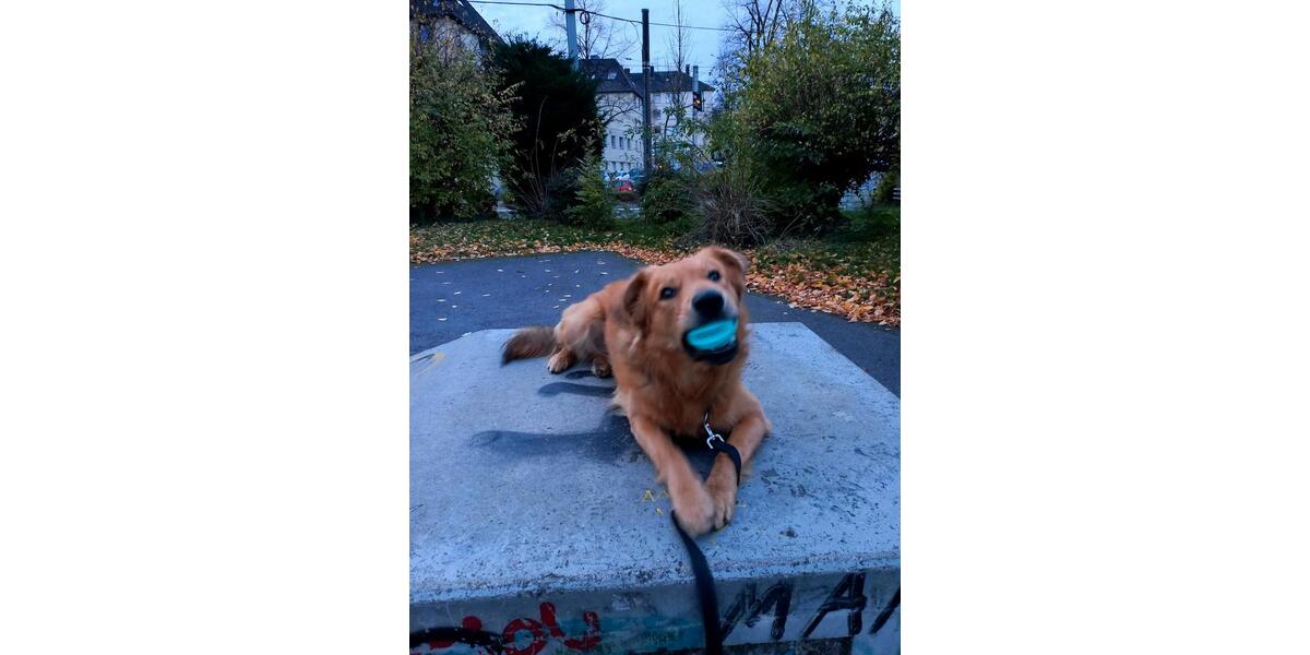 Wohnung 2 Raum 1 zimmer