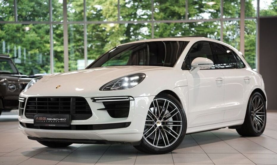 Macan