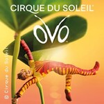 Premium Package | Cirque du Soleil - OVO
