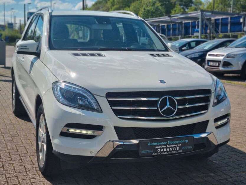 ML 250