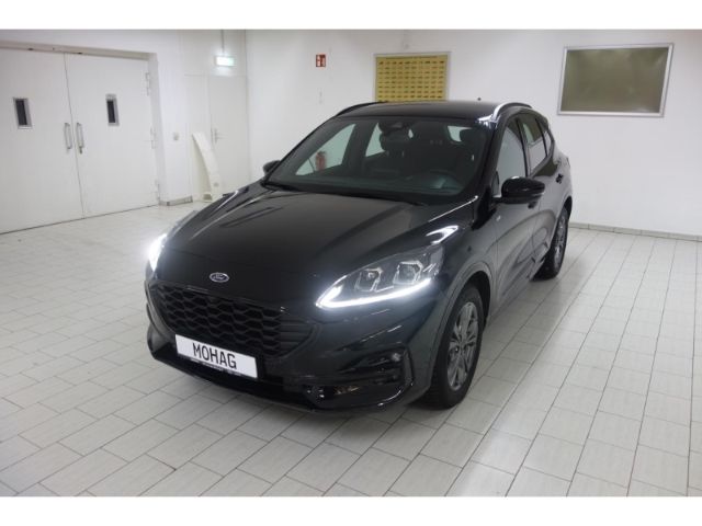 Kuga