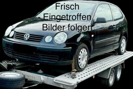 VW Polo 144.981 km 1.880 &euro; Dortmund 44388