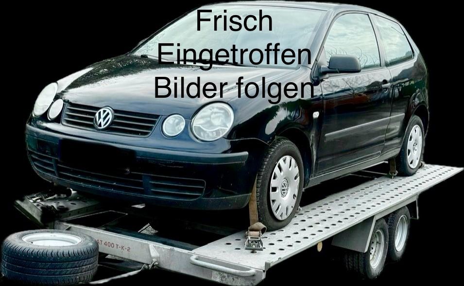 VW Polo 144.981 km 1.880 &euro; Dortmund 44388
