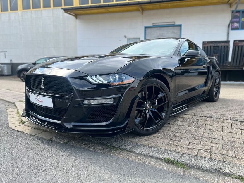 Mustang