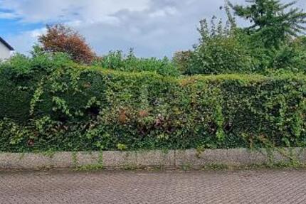 SONNENSTÜCK - UNBEBAUT - OPTIONAL DIREKT MIT HAUS - Grundstück Essen Stadtbezirk VII | Angebot:27259810