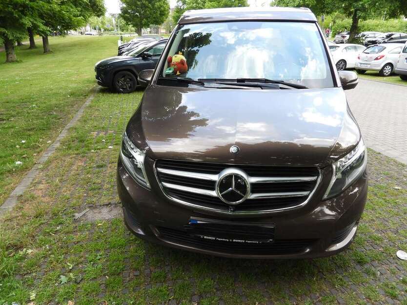 V 250
