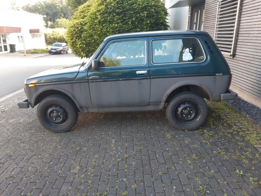 Niva