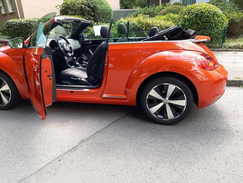 Beetle