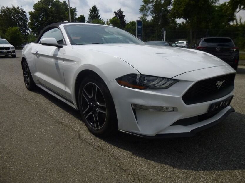 Mustang