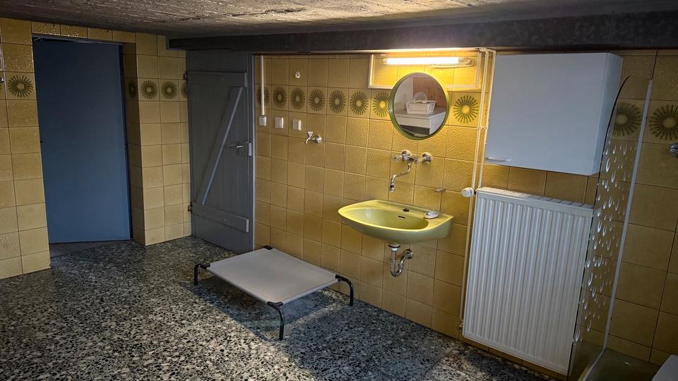 Doppelhaushälfte, großes Grundstück, Doppelgarage, unterkellert 7 zimmer