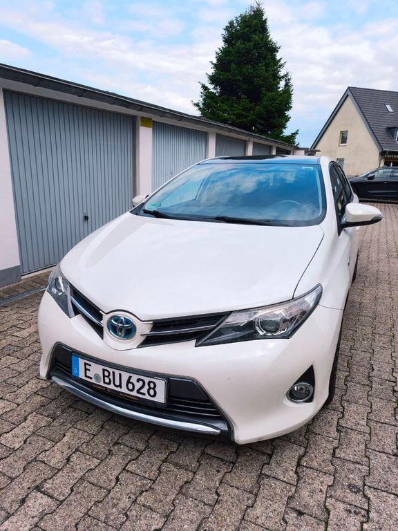 Auris