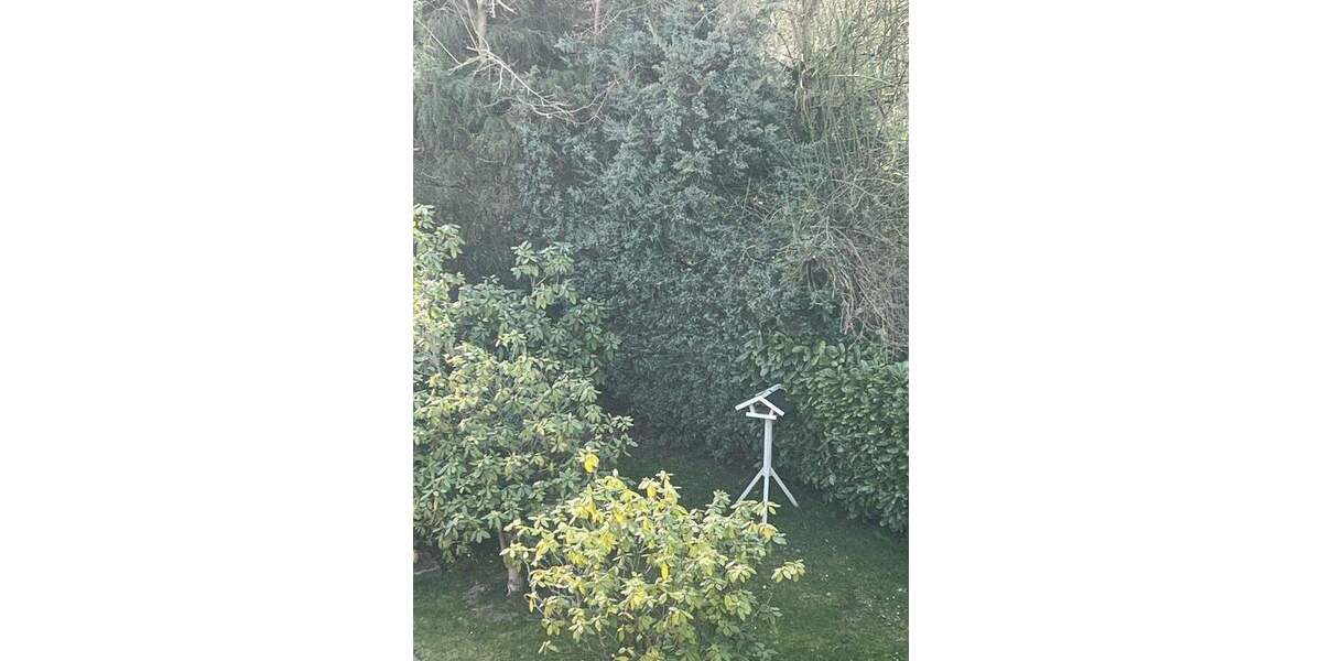 Etagenwohnung Hagen Vorhalle - 2 Zimmer, 75 m&sup2;, 450&euro; | Angebot:25751704