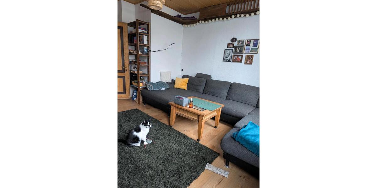 Gemütliche, helle Wohnung zur Untermiete Mai- Oktober 1 zimmer
