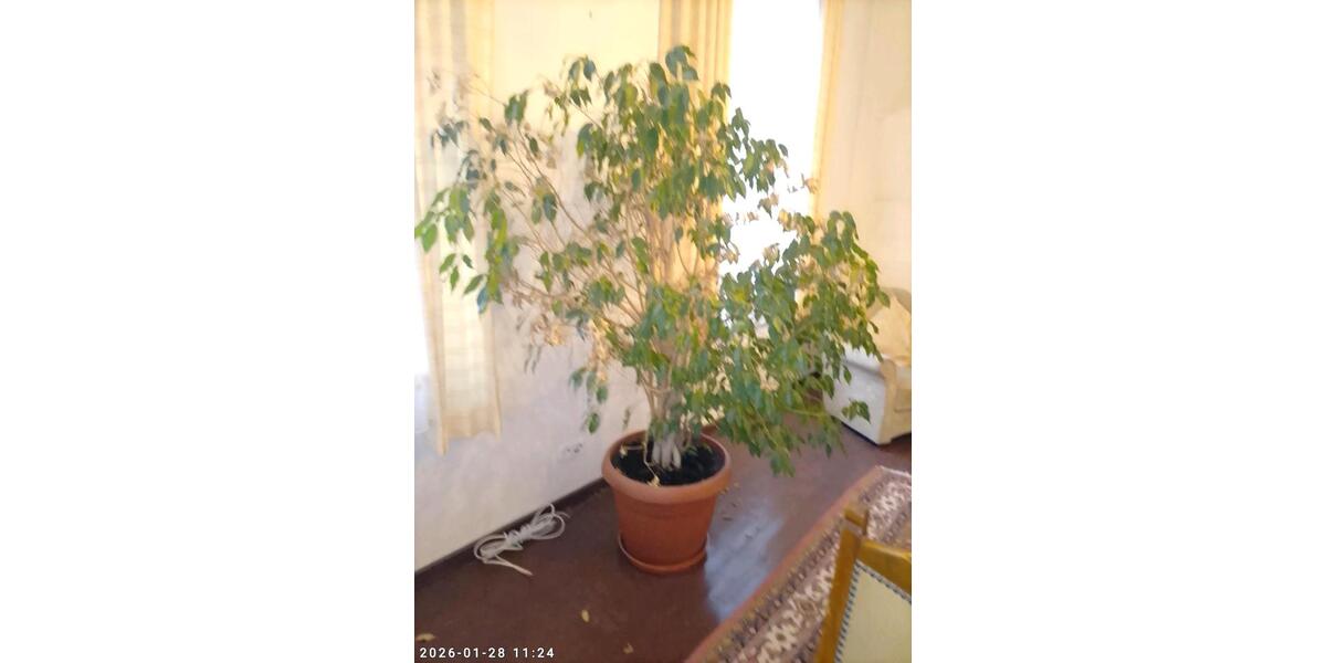 Etagenwohnung Haltern am See - 2 Zimmer, 70 m&sup2;, 180.000&euro; | Angebot:24692608