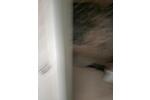 Maisonettenwohnung Haltern am See - 4 Zimmer, 108 m&sup2;, 1.200&euro; | Angebot:26399871
